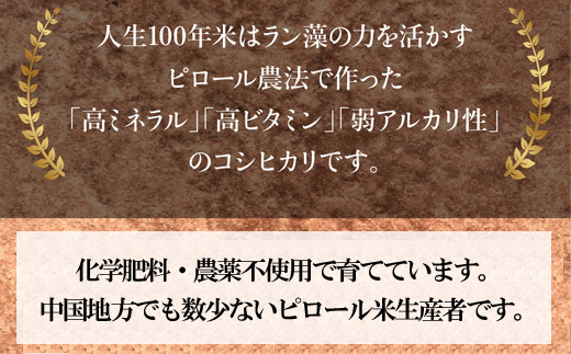 【定期便】人生100年米（ピロール米） 2kg×12ヵ月 令和5年産 【ピロール米 コシヒカリ 化学肥料不使用 農薬不使用 定期便】