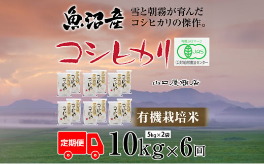 定期便 全6回 有機栽培米 魚沼産コシヒカリ 5kg×2袋