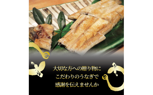 国産 うなぎ 白焼き 150g タレ付  ( グルメ うなぎ 鰻 新鮮 たれ  土曜 丑の日 真空パック おすすめ 滋賀県 竜王 送料無料 )