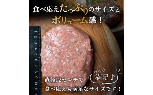 北海道産黒毛和牛＆豚肉で作ったハンバーグ 10個 2024年12月発送 牛肉 加工品 惣菜 おかず F21P-1072