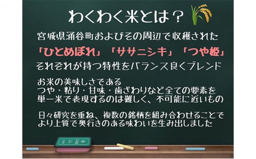 【3ヶ月定期便】宮城県産三大銘柄いいとこ取りブレンド米 わくわく米 5kg×2袋入 計30kg ｜ 定期便・ お米 精米 白米 ひとめぼれ ササニシキ つや姫 宮城県産 三大銘柄