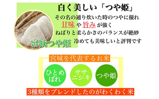 【3ヶ月定期便】宮城県産三大銘柄いいとこ取りブレンド米 わくわく米 5kg×2袋入 計30kg ｜ 定期便・ お米 精米 白米 ひとめぼれ ササニシキ つや姫 宮城県産 三大銘柄