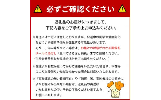 食の都庄内　《12・1・2月お届け-A》季節の贈り物-3ヶ月定期便