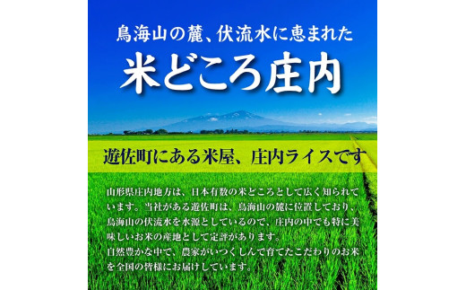 1104R06　庄内産コシヒカリ5kg（令和6年産米）