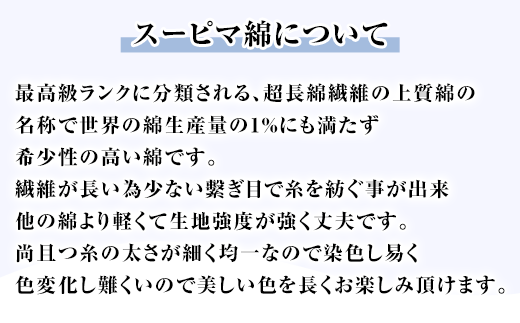 P-18【井原デニム】オールウエザーコート（ブループラチナ・M）