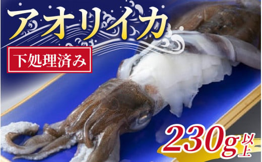 アオリイカ　230g以上　下処理済み/ いか イカ アオリイカ 刺身 活造り ゲソ 魚介 海産物 海鮮 天然 冷凍 焼きイカ いかめし CAS凍結 230g 烏賊 いか刺身