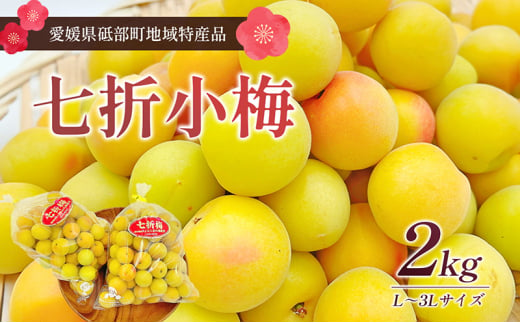 七折小梅　2kg [№5310-0232]