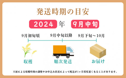 【先行受付】2024年産(令和6年産)新米 「きりしまのゆめ」夏の笑み6kg 霧島湧水が育む減農薬栽培のお米（特別栽培米・無洗米・真空チャック式） TF0625-P00026