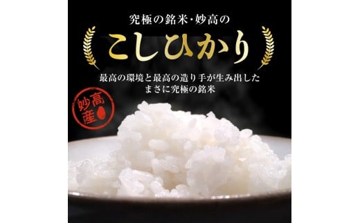 【2026年2月中旬発送】【定期便】令和7年産 新潟県妙高産コシヒカリ20kg(5kg×4袋)×2回（計40kg）