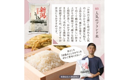 【2026年2月中旬発送】【定期便】令和7年産 新潟県妙高産コシヒカリ20kg(5kg×4袋)×2回（計40kg）