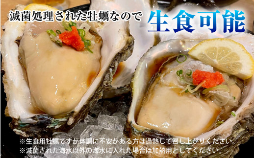 【先行予約】【加福鮮魚】若狭湾　生食用　天然岩牡蠣　大10個（軍手、牡蠣ナイフ付き）【2025年6月下旬より順次発送】