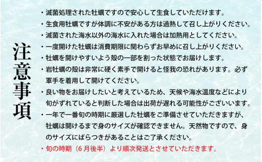 【先行予約】【加福鮮魚】若狭湾　生食用　天然岩牡蠣　大10個（軍手、牡蠣ナイフ付き）【2025年6月下旬より順次発送】