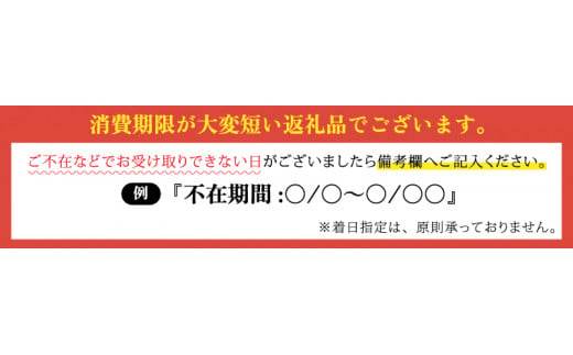 【先行予約】【加福鮮魚】若狭湾　生食用　天然岩牡蠣　大10個（軍手、牡蠣ナイフ付き）【2025年6月下旬より順次発送】