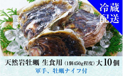 【先行予約】【加福鮮魚】若狭湾　生食用　天然岩牡蠣　大10個（軍手、牡蠣ナイフ付き）【2025年6月下旬より順次発送】