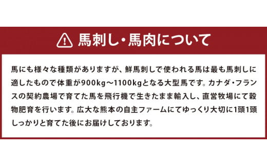 馬刺しユッケ・桜うまトロ12食セット 計約660g ユッケ タレ付き