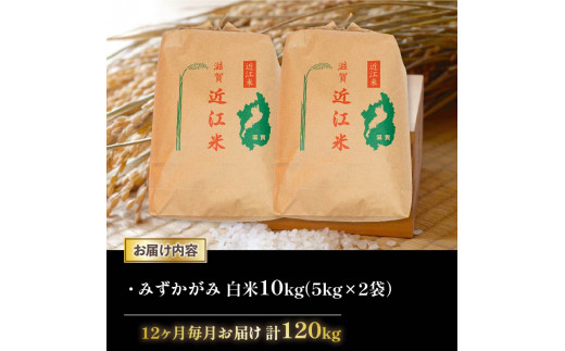 令和6年産 新米 みずかがみ 定期便 10kg 全12回 白米 5㎏ × 2袋 12ヶ月 近江米 ミズカガミ 国産 お米 米 おこめ ごはん ご飯 白飯 しろめし こめ ゴハン 御飯 滋賀県産 竜王 ふるさと ランキング 人気 おすすめ