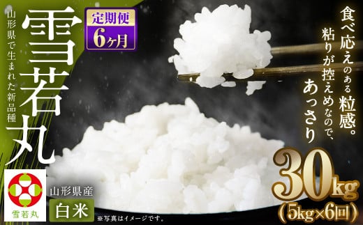 【6ヶ月定期便】【令和6年産新米】〈白米〉 雪若丸 5kg×6回