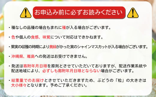  [No.5657-3793]【粒パック詰め】【訳あり】須坂産ぶどう3品種（シャインマスカット、ナガノパープル、クイーンルージュ®）1kg以上（約500g×2パック）《湯本果樹園》■2024年発送■※9月中旬頃～10月上旬頃まで順次発送予定