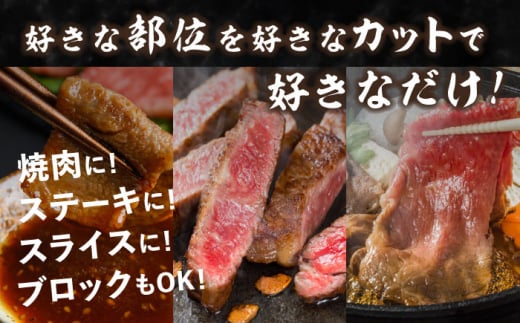 【半頭オーダーカット！】 A5 佐賀牛 半頭食べ尽くしセット 黒毛和牛 吉野ヶ里町/株式会社MEAT PLUS [FDB070]