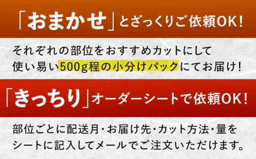 【半頭オーダーカット！】 A5 佐賀牛 半頭食べ尽くしセット 黒毛和牛 吉野ヶ里町/株式会社MEAT PLUS [FDB070]