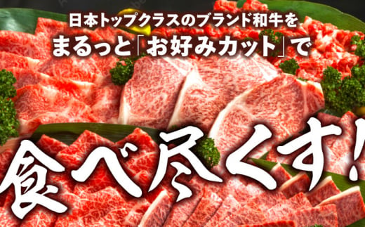 【半頭オーダーカット！】 A5 佐賀牛 半頭食べ尽くしセット 黒毛和牛 吉野ヶ里町/株式会社MEAT PLUS [FDB070]