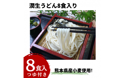 潤生うどん８食入り - 麺 800g 饂飩 国産小麦 麺類 乾麺 つゆ付 つるつる もちもち 潤い 生に戻し 再熟成 こだわり 製法 ざるうどん 冬 温うどん 一年中 楽しめる 人気 おすすめ 熊本県 甲佐町