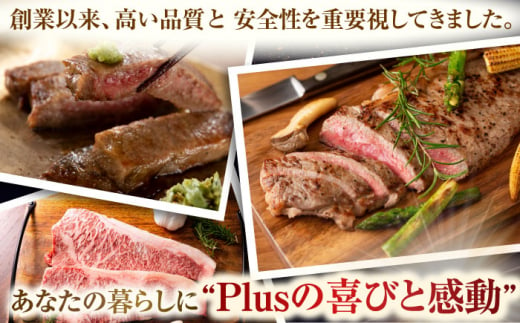 【全6回定期便】【A4～A5】長崎和牛サーロインステーキ　250g（250g×1枚）【株式会社 MEAT PLUS】 [QBS070]