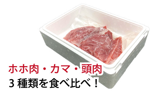 【訳あり】じゃばら鮪 希少部位三点セット約600g【串本町×北山村】 まぐろ 鮪 マグロ 訳アリ【nks201】