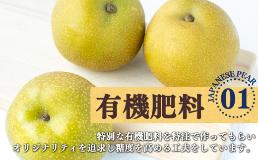 梨子本農園の梨 （ 二十世紀 ）約4kg （7～13個入） | フルーツ 果物 くだもの 梨 なし ナシ 梨子本農園 奈良県 五條市