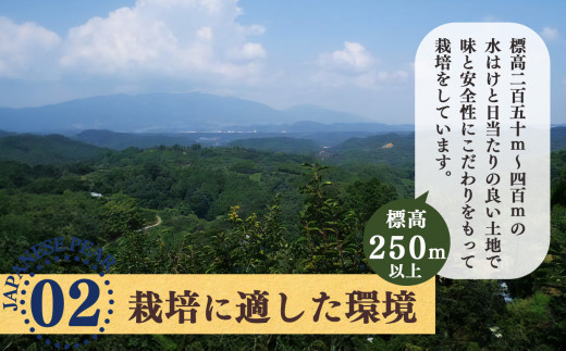 梨子本農園の梨 （ 二十世紀 ）約4kg （7～13個入） | フルーツ 果物 くだもの 梨 なし ナシ 梨子本農園 奈良県 五條市