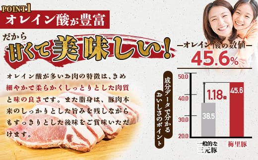 豚肉 切り落とし 4kg 国産 ブランド 豚 梅里豚 小分け 小間切れ コマ切れ 500g × 8パック 480