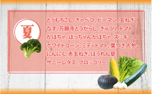 【先行予約】小浜市産 春夏野菜セット 7品目以上【2025年6月より順次発送】