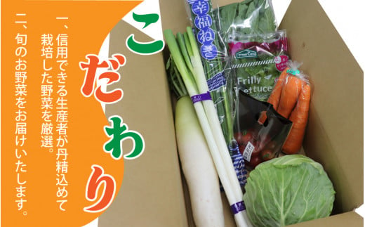 【先行予約】小浜市産 春夏野菜セット 7品目以上【2025年6月より順次発送】