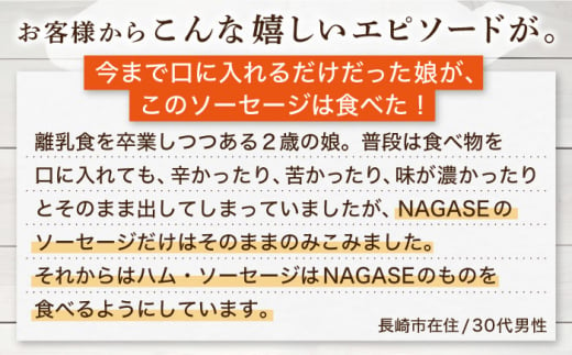 【全6回定期便】【長崎県産じげもん豚】を使ったハム・ベーコン入りの燻製セット 長崎県/Gris Hause NAGASE [42AACB007] BBQ プレゼント 詰合せ おつまみ ウインナ