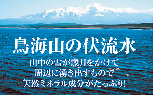 お洒落な角瓶入りの天然塩5種セット （ワイン塩3種・酒かす塩・プレーン塩） F2Y-2572