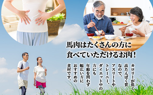 【定期便 3回】熊本県 3種の馬刺し 300ｇ×3回配送【 赤身・フタエゴ・サガリ各100g 】 本場 馬刺し 冷凍 馬肉 定番 熊本県 多良木町 ばさし 肉 赤身 ヘルシー 旨味 030-0712