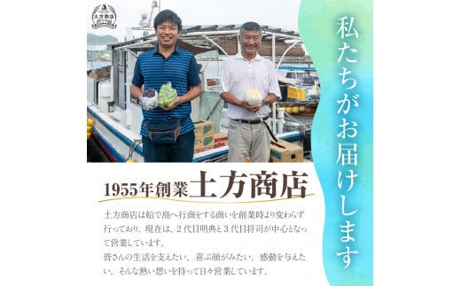 【2025年発送分 先行受付スタート！】岡山県産 白桃とシャインマスカットのセット（令和７年7月以降発送）