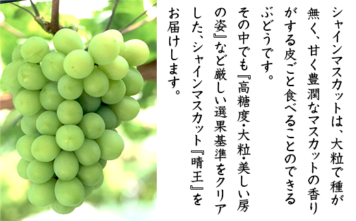 74-17岡山県産シャインマスカット「晴王」2房（1.4kg以上）【2024年9月上旬～10月上旬発送予定】