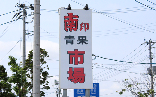 【令和7年産先行予約】 シャインマスカット 約2kg (2～4房) 《令和7年9月頃～発送》 『南陽中央青果市場』 マスカット ぶどう 種なし 果物 フルーツ デザート 山形県 南陽市 [1205]