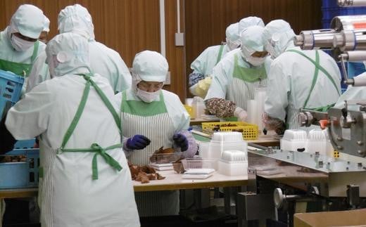 生きくらげ　50g×36パック（茨城県共通返礼品／鹿嶋市産）