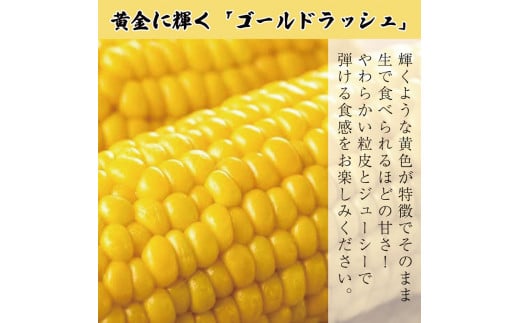 とうもろこし ゴールドラッシュ 5本 約 2kg 先行予約 トウモロコシ コーン スイートコーン 甘い 期間限定 夏 旬 野菜 鍋 炒め物 煮物 スープ 弁当 惣菜 おかず 健康 新鮮 国産 送料無料 吉野川市 徳島県