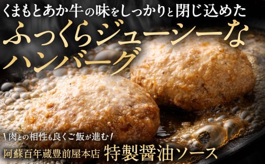 阿蘇プレミアムハンバーグ（レトルト） 150g×20個（合計3kg）