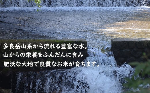 【11月より発送開始】定期便 3ヶ月 佐賀県産 さがびより 白米 5kg《3ヶ月連続 毎月お届け》D-63 3回