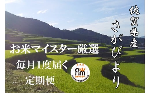 【11月より発送開始】定期便 3ヶ月 佐賀県産 さがびより 白米 5kg《3ヶ月連続 毎月お届け》D-63 3回