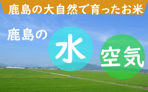 【11月より発送開始】定期便 3ヶ月 佐賀県産 さがびより 白米 5kg《3ヶ月連続 毎月お届け》D-63 3回