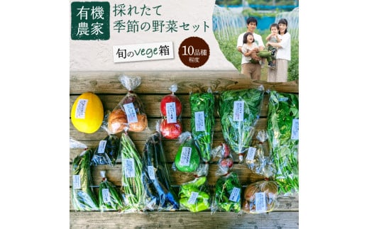 有機農家の採れたて季節野菜のセット【旬のvege箱】