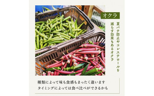 有機農家の採れたて季節野菜のセット【旬のvege箱】