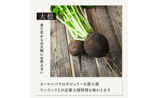 有機農家の採れたて季節野菜のセット【旬のvege箱】