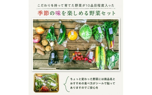 有機農家の採れたて季節野菜のセット【旬のvege箱】