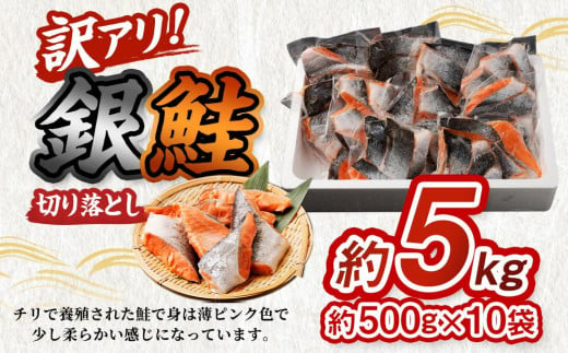 【訳アリ】銀鮭 切り落とし 約5kg（約500g×10袋）